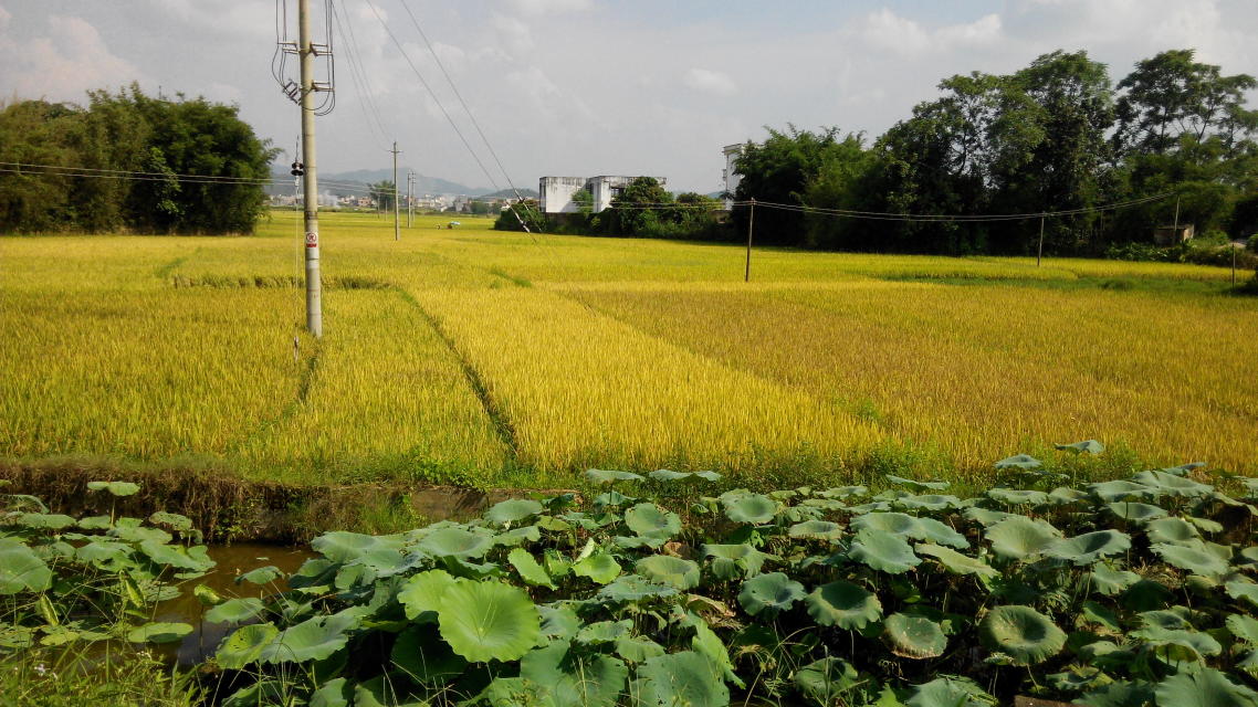 2026提取住房公积金支付购房首付款办理指南