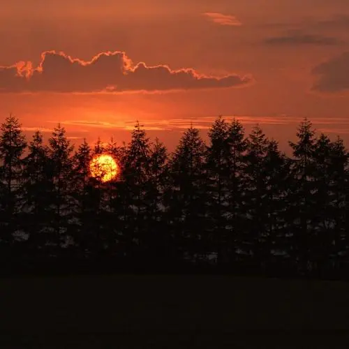包装材料配送中心送货员